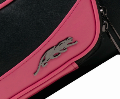 Predator Roadline Pink 2x4 Hard Case